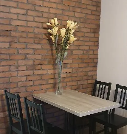Apartamenty Bartnicza C Bielsko-Biala Exterior photo