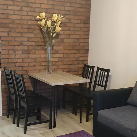 Apartamenty Bartnicza C Bielsko-Biala Exterior photo